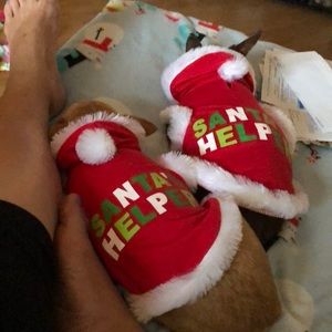 Meet your Posher, Clare